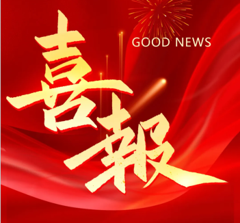 2025年2月 喜讯丨热烈祝贺红光电气集团荣登乐清市高质量发展各项榜单！