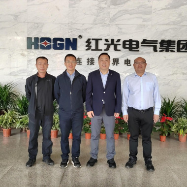 温州市招商引资重大项目推进专班领导莅临红光电气集团有限公司走访调研